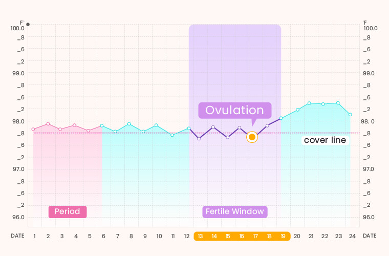 BBT pinpoint your most fertile days