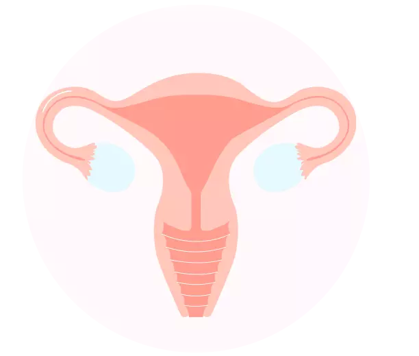 an ovarian's cartoon
